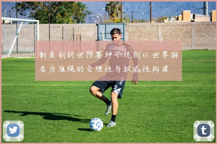 制度剖析世预赛种子规则以世界排名为准绳的合理性与权威性构建