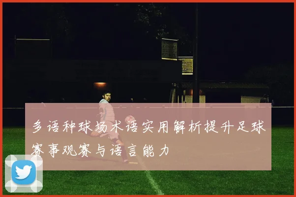 多语种球场术语实用解析提升足球赛事观赛与语言能力