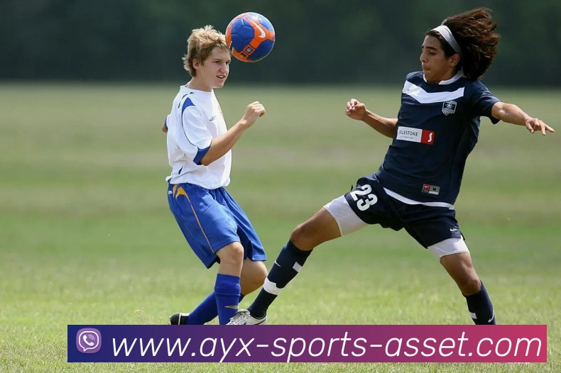 爱游戏体育品牌故事