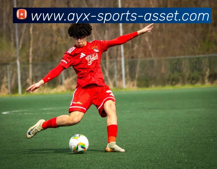 爱游戏体育服务体系